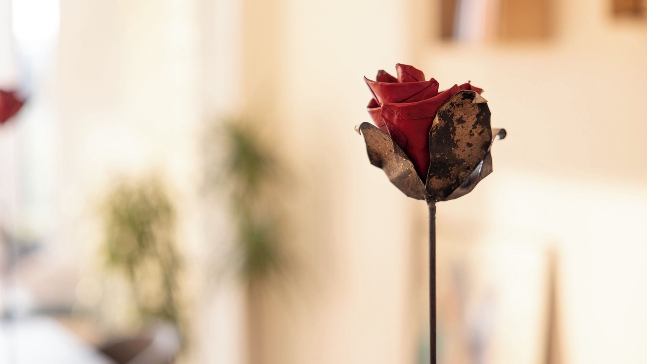 Photo of Others in Castelnuovo del Garda