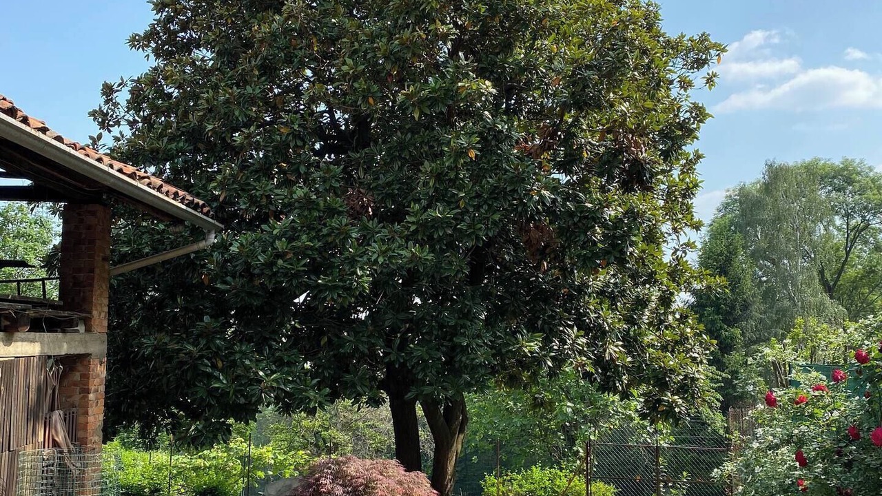 Photo of Outdoor in Pettinengo