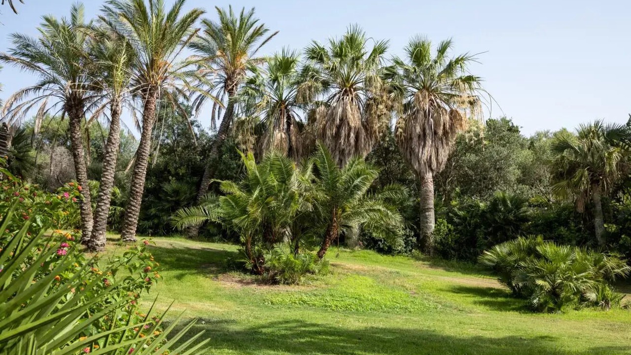 Photo of Outdoor in Porto Rotondo