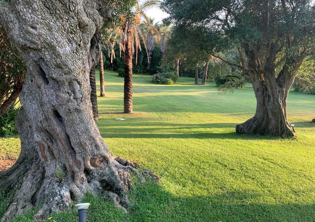 Photo of Others in Porto Rotondo