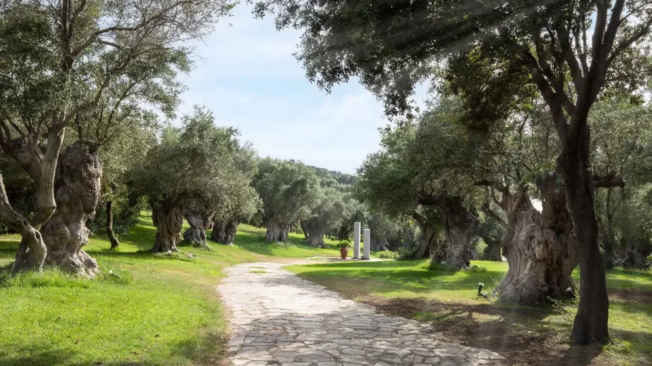 Photo of Outdoor in Porto Rotondo
