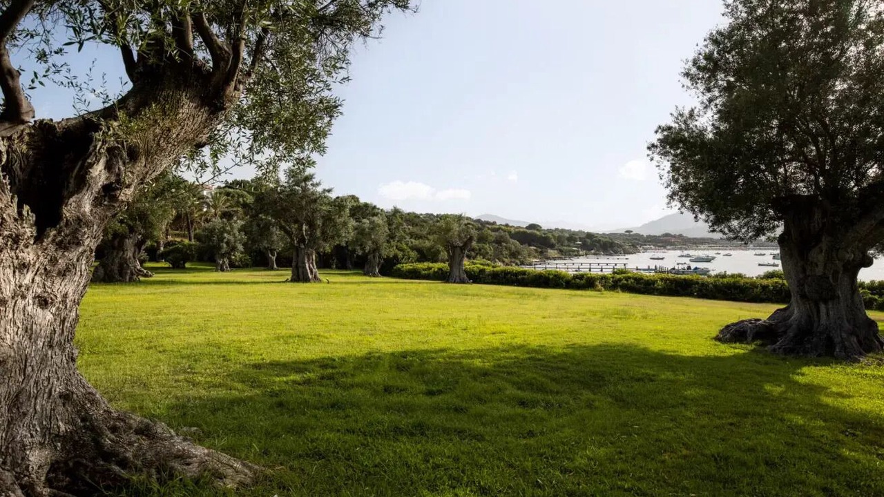 Photo of Others in Porto Rotondo