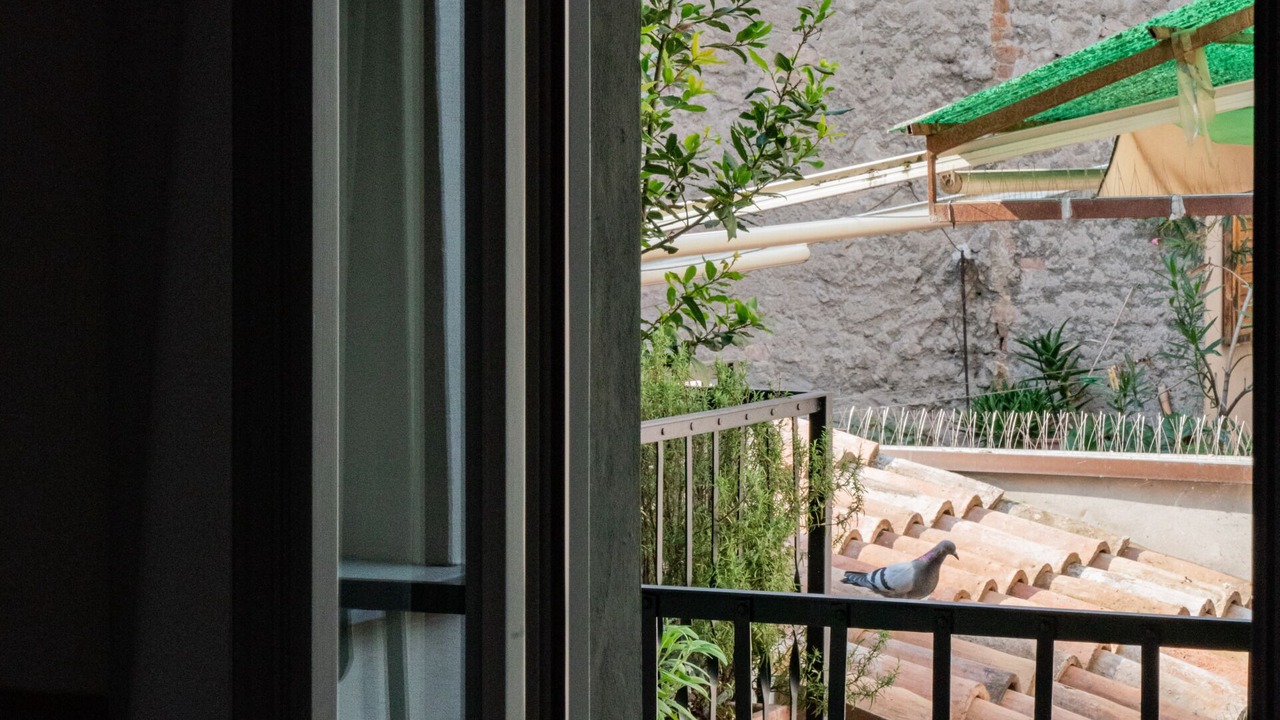 Photo of Others in Reggio nell'Emilia