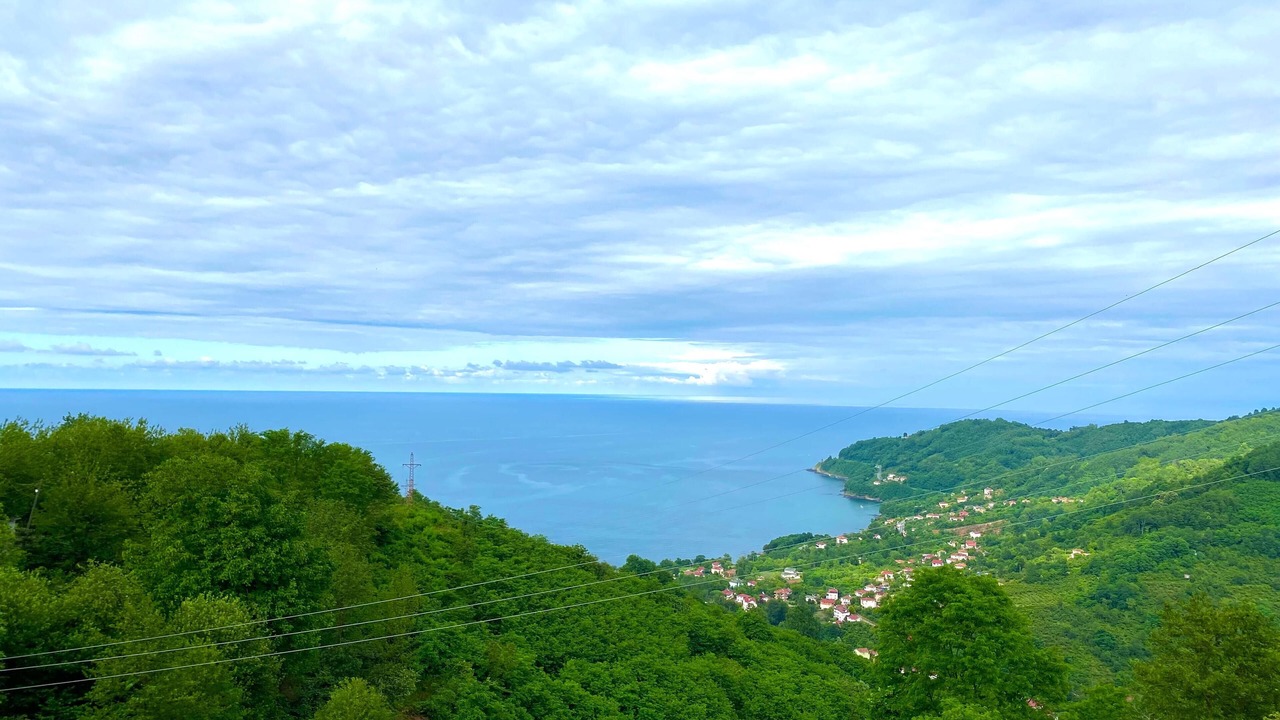 Photo of Outdoor in Persembe