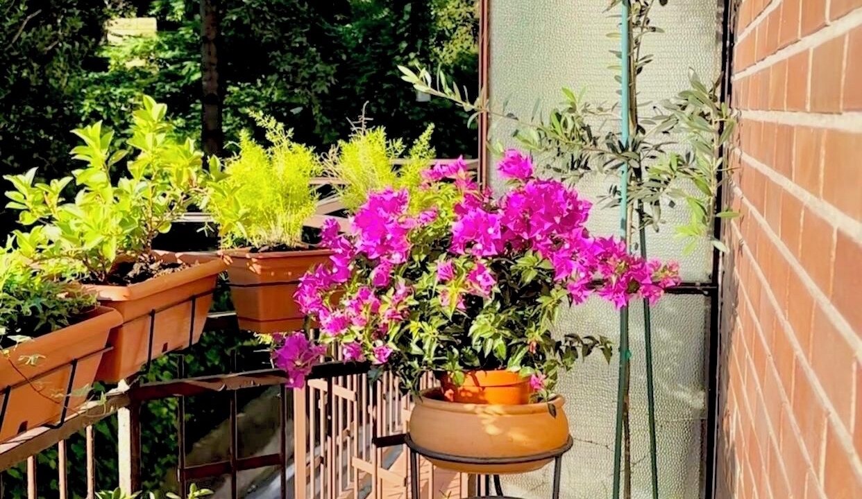 Photo of Outdoor in Malgrate
