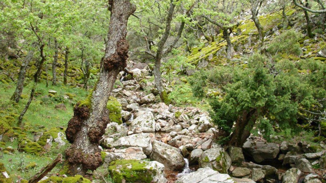 Photo of Outdoor in Hontanar