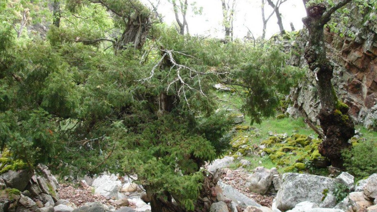 Photo of Outdoor in Hontanar