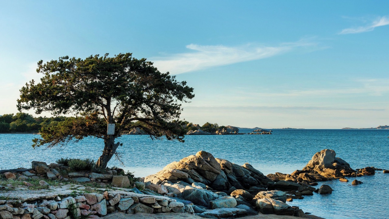 Photo of Others in Golfo di Marinella
