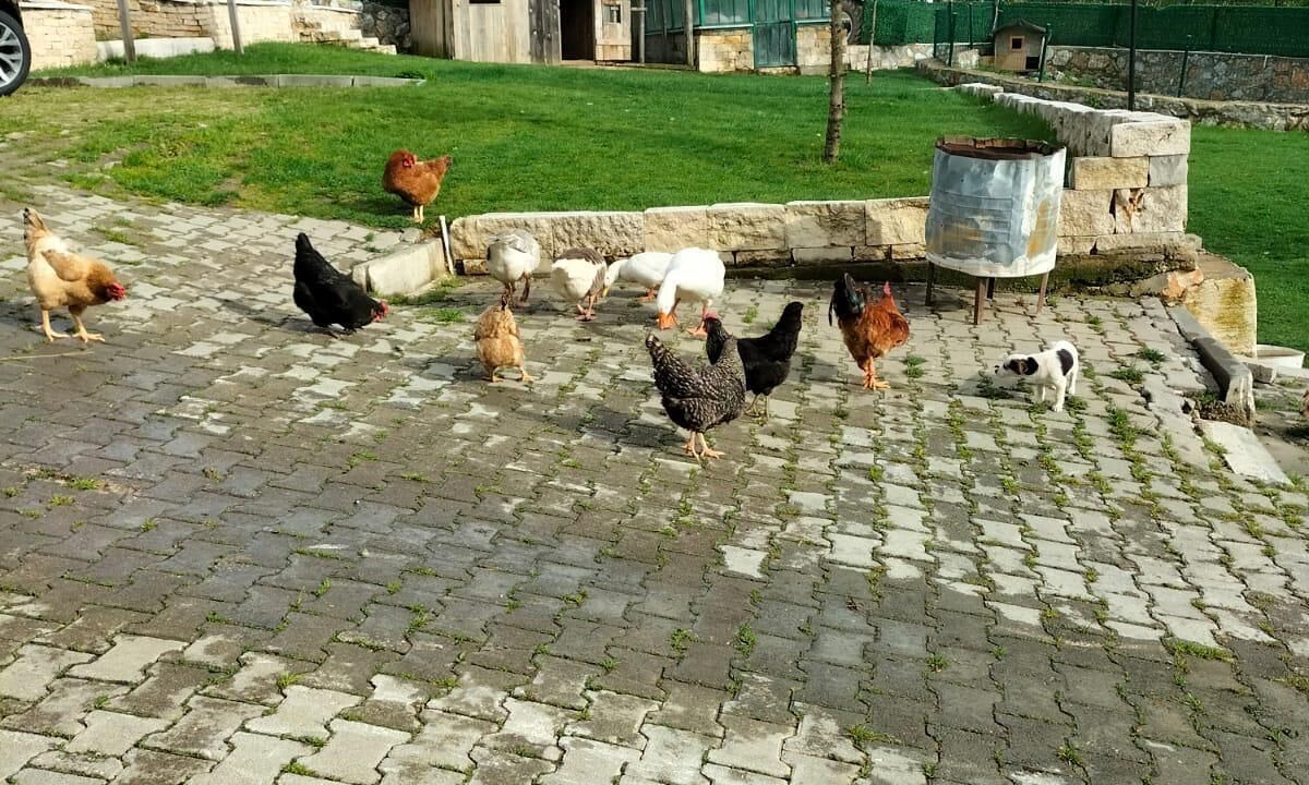 Photo of Outdoor in Iznik