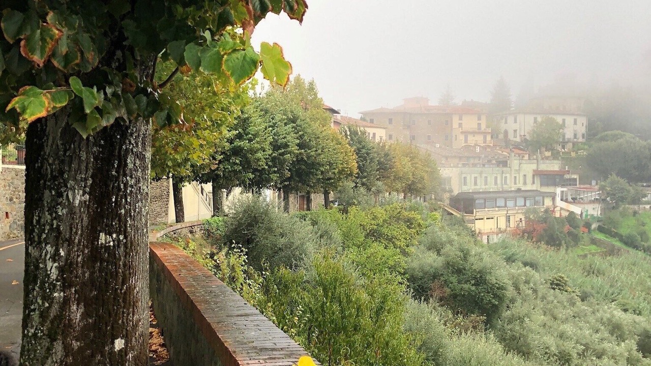 Photo of Outdoor in Margine Coperta-Traversagna