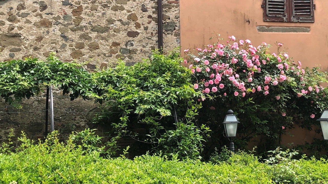 Photo of Outdoor in Margine Coperta-Traversagna