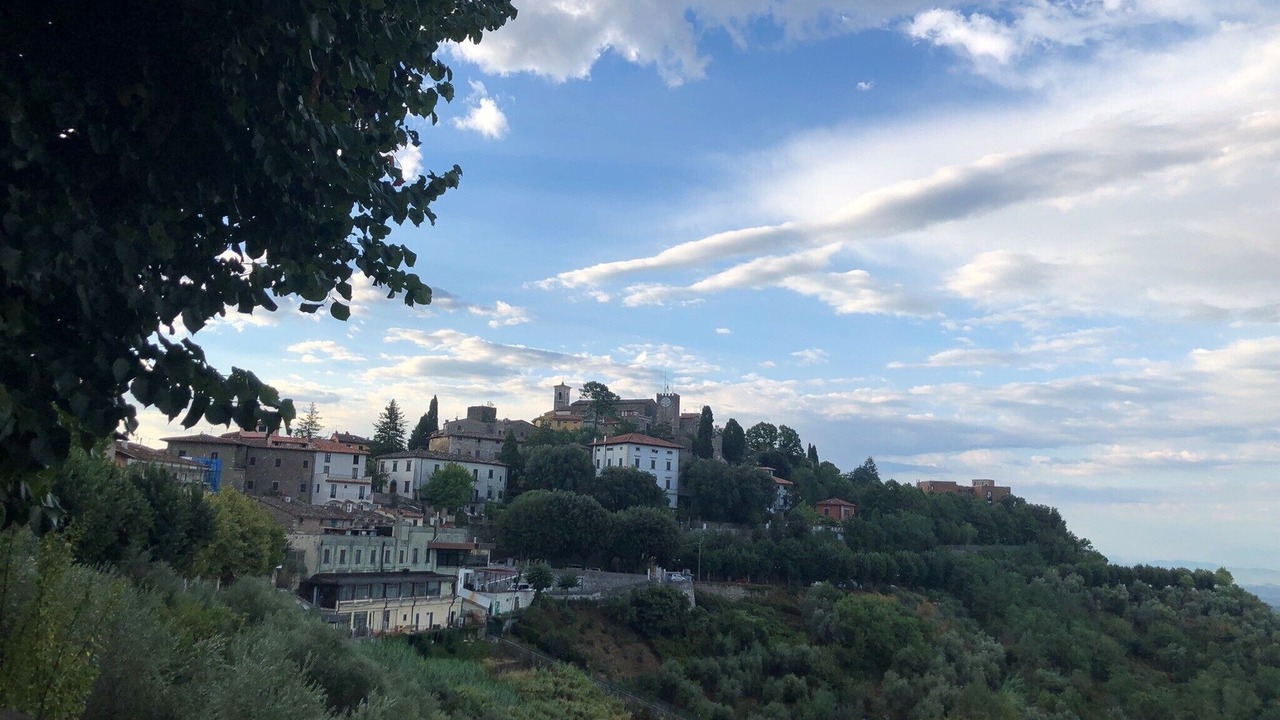 Photo of Others in Margine Coperta-Traversagna