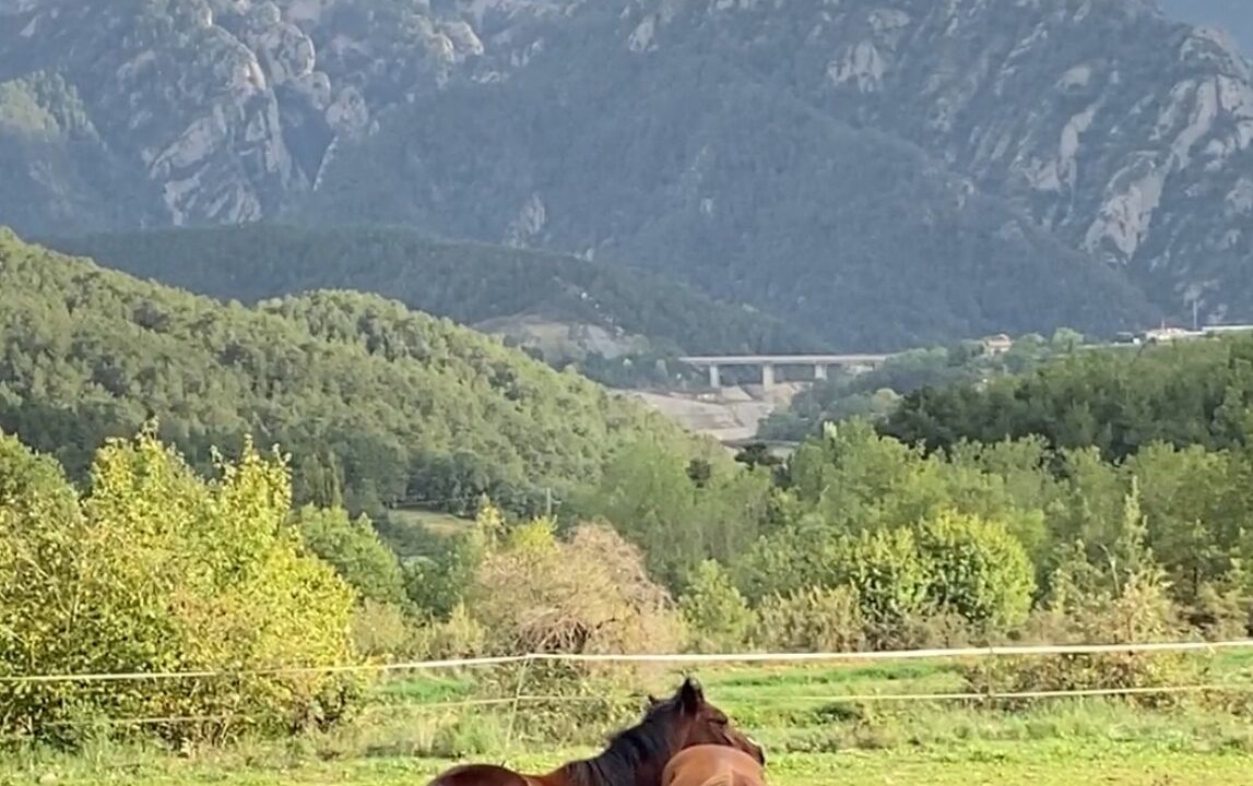 Photo of Others in Sant Llorenc de Morunys