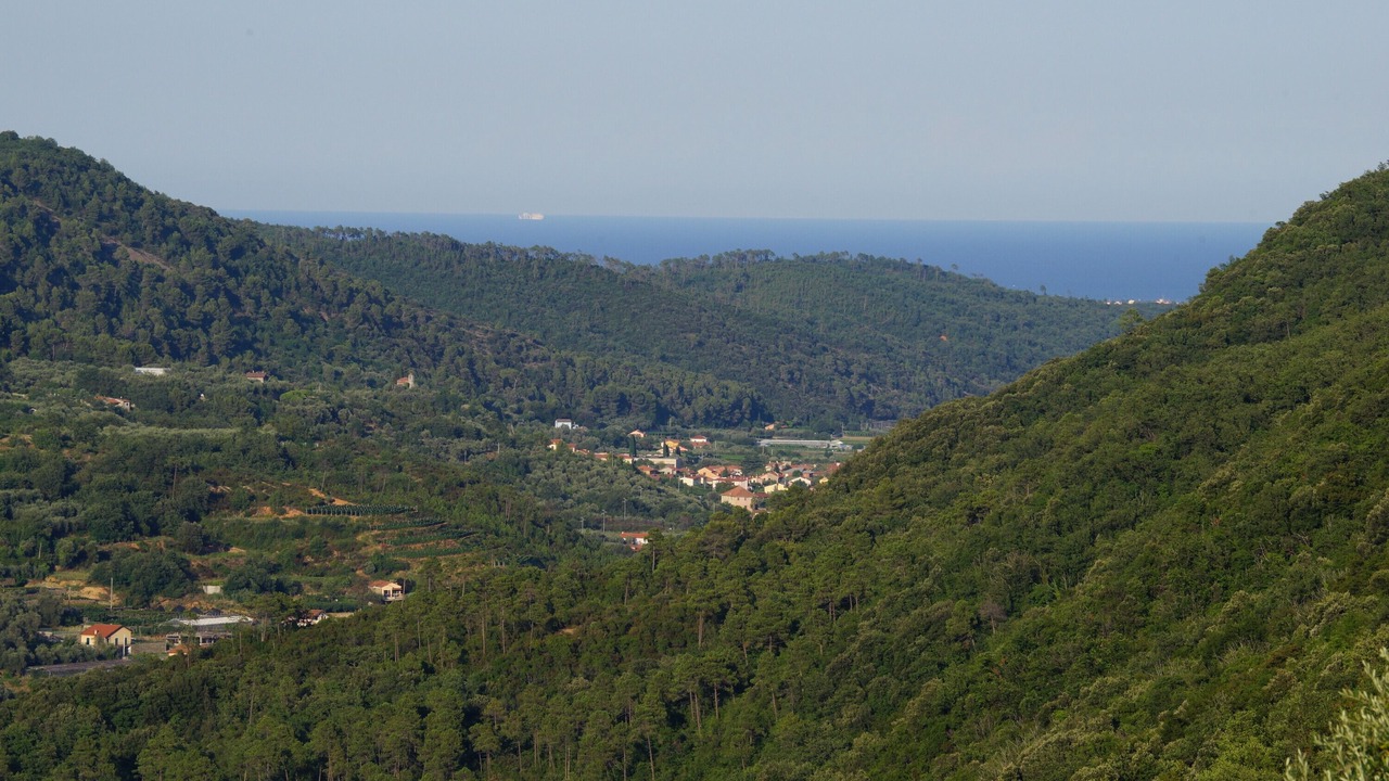 Photo of Others in Capitolo-Costa