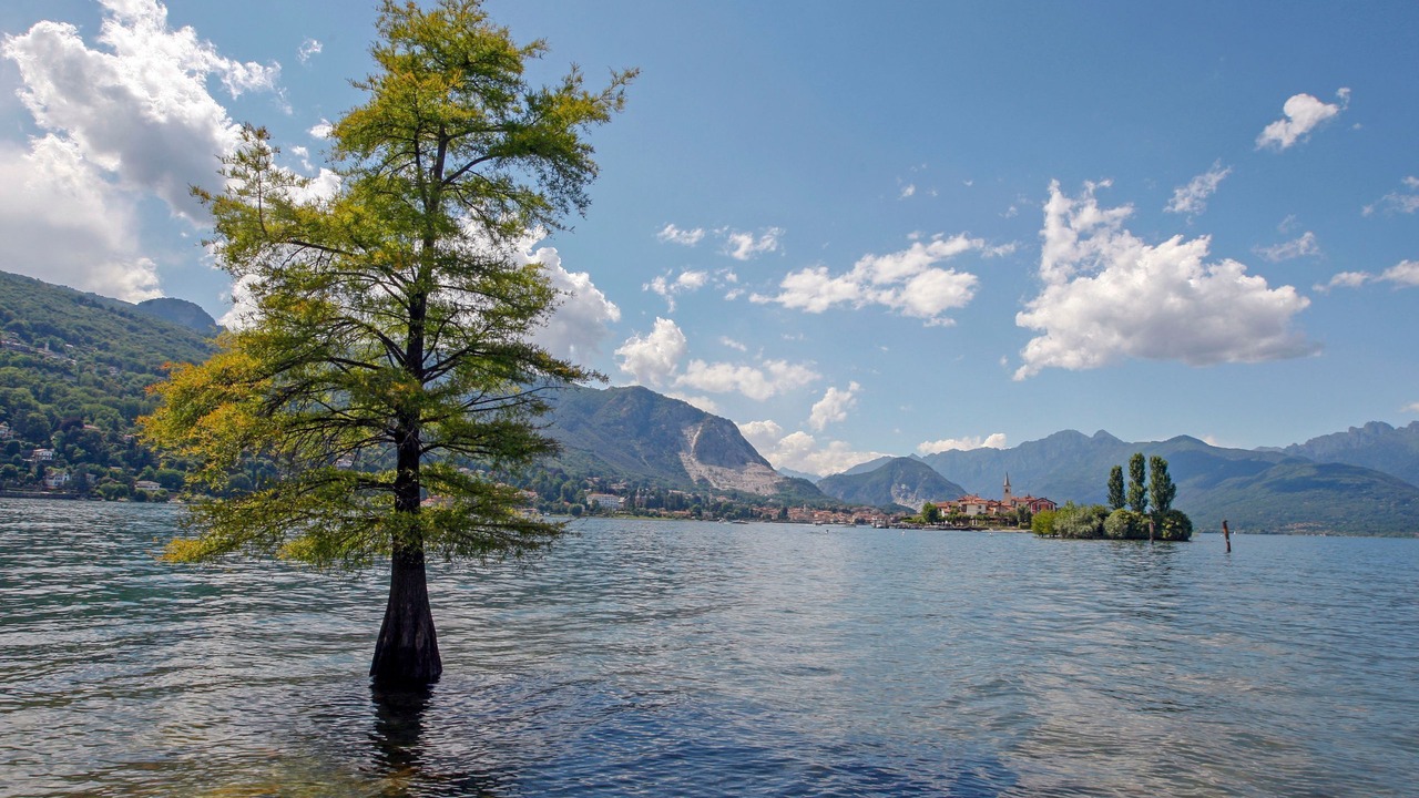 Photo of Others in Baveno