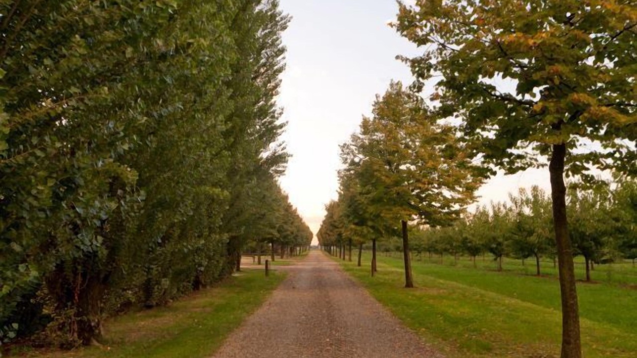 Photo of Outdoor in Castelfranco Emilia