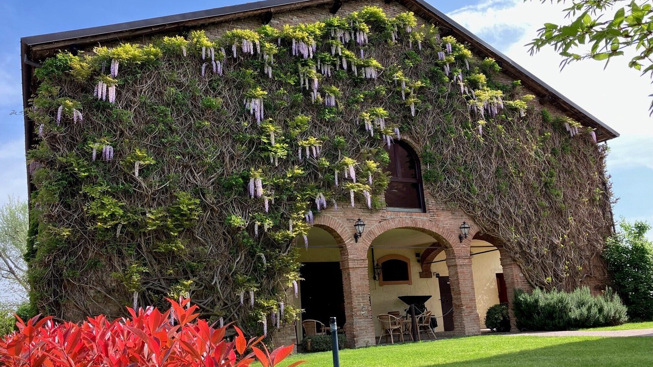 Photo of Outdoor in Castelfranco Emilia