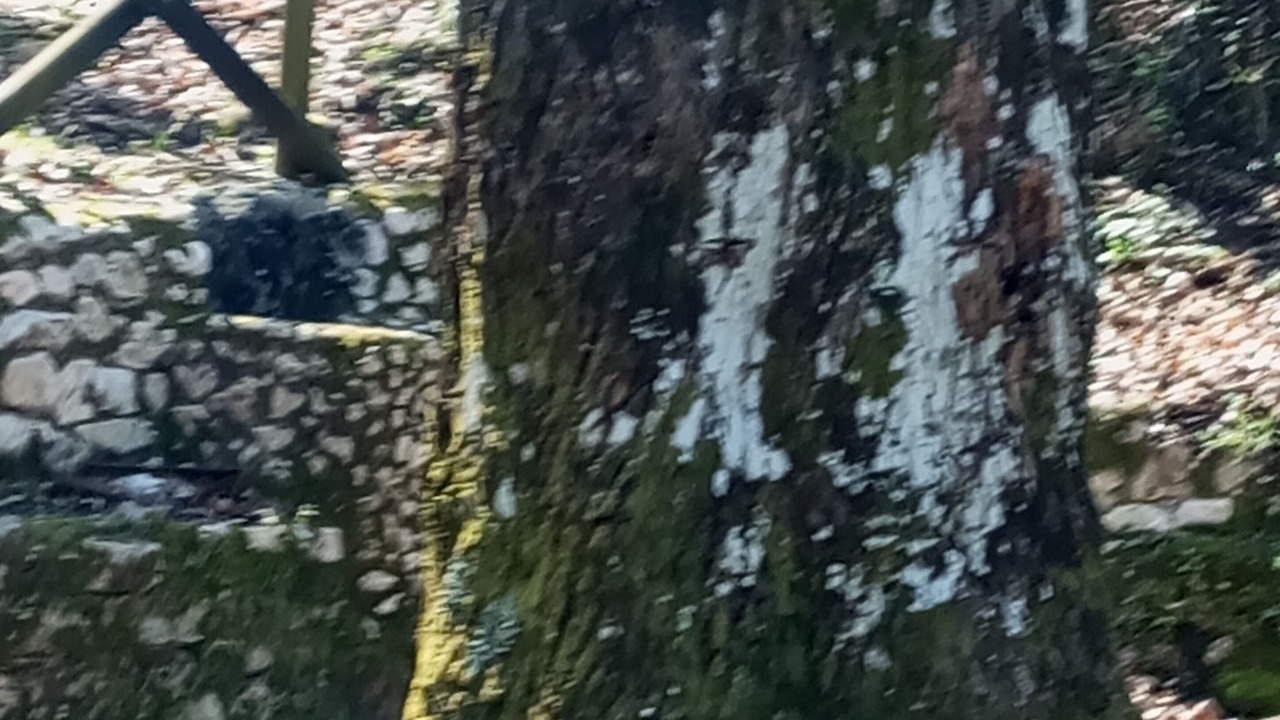 Photo of Outdoor in Cervinara