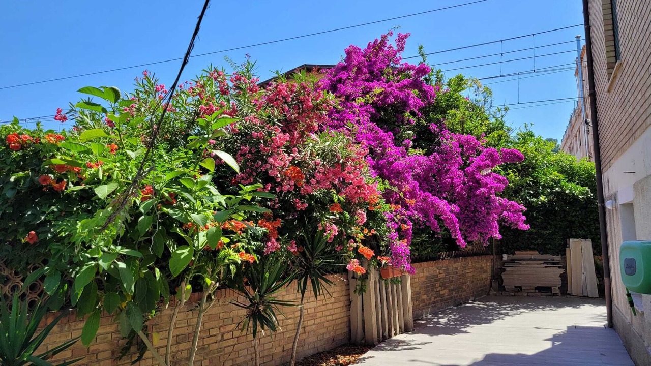 Photo of Outdoor in Case Fornace