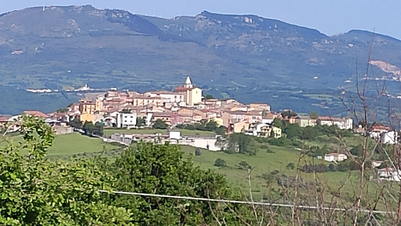 Photo of Outdoor in Busso
