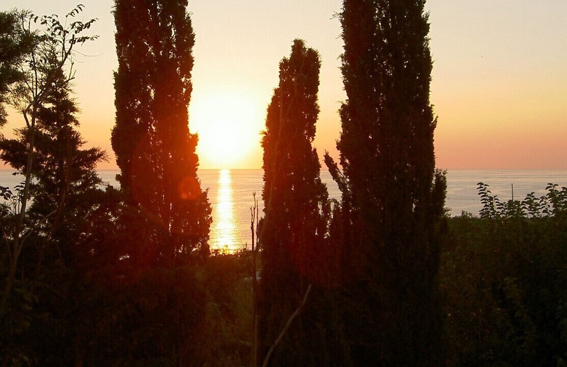 Photo of Others in Paola