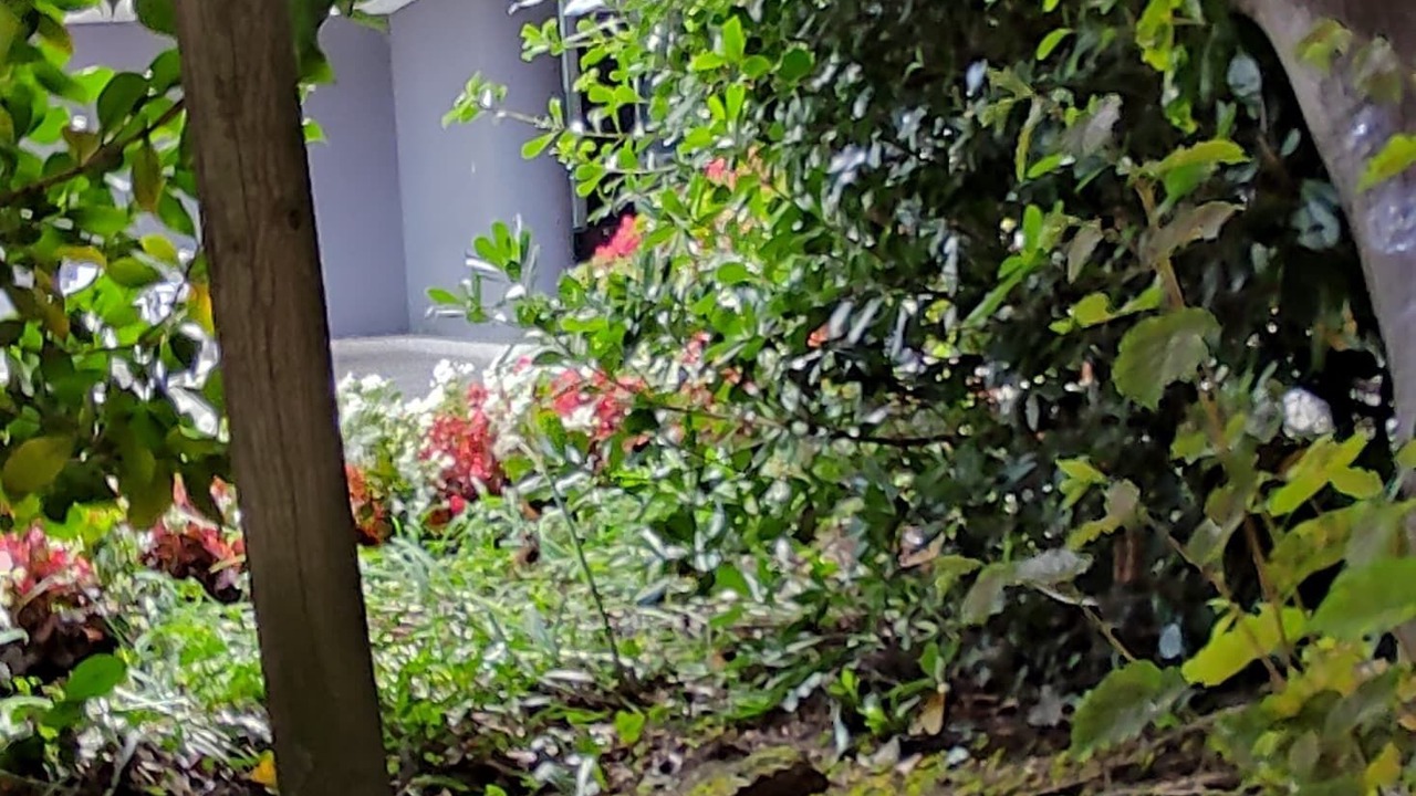 Photo of Outdoor in Montorfano