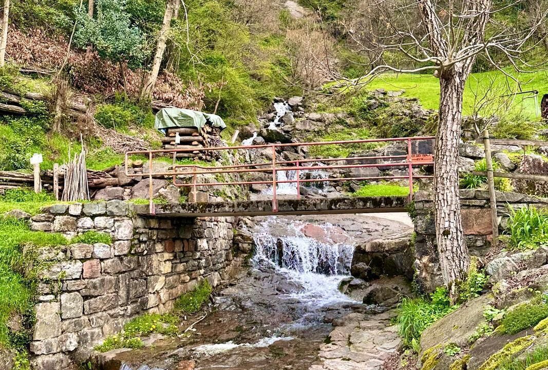 Photo of Outdoor in Porto Ceresio