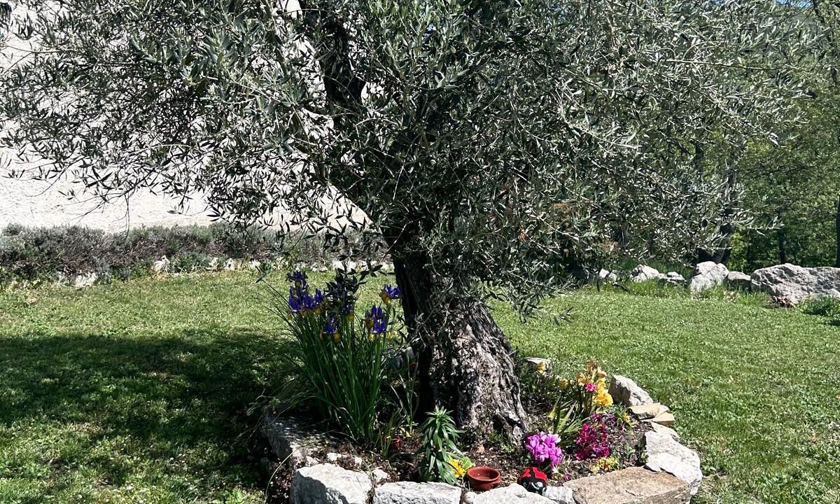Photo of Outdoor in Busso