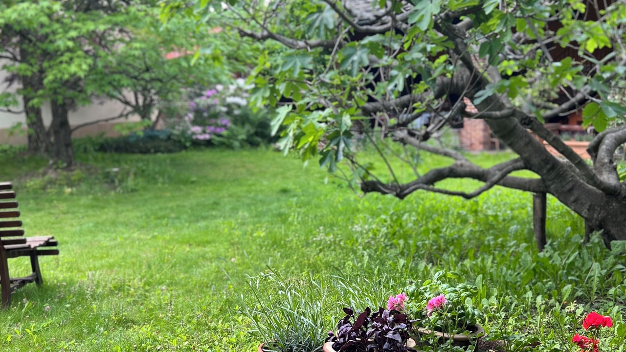 Photo of Outdoor in Boves