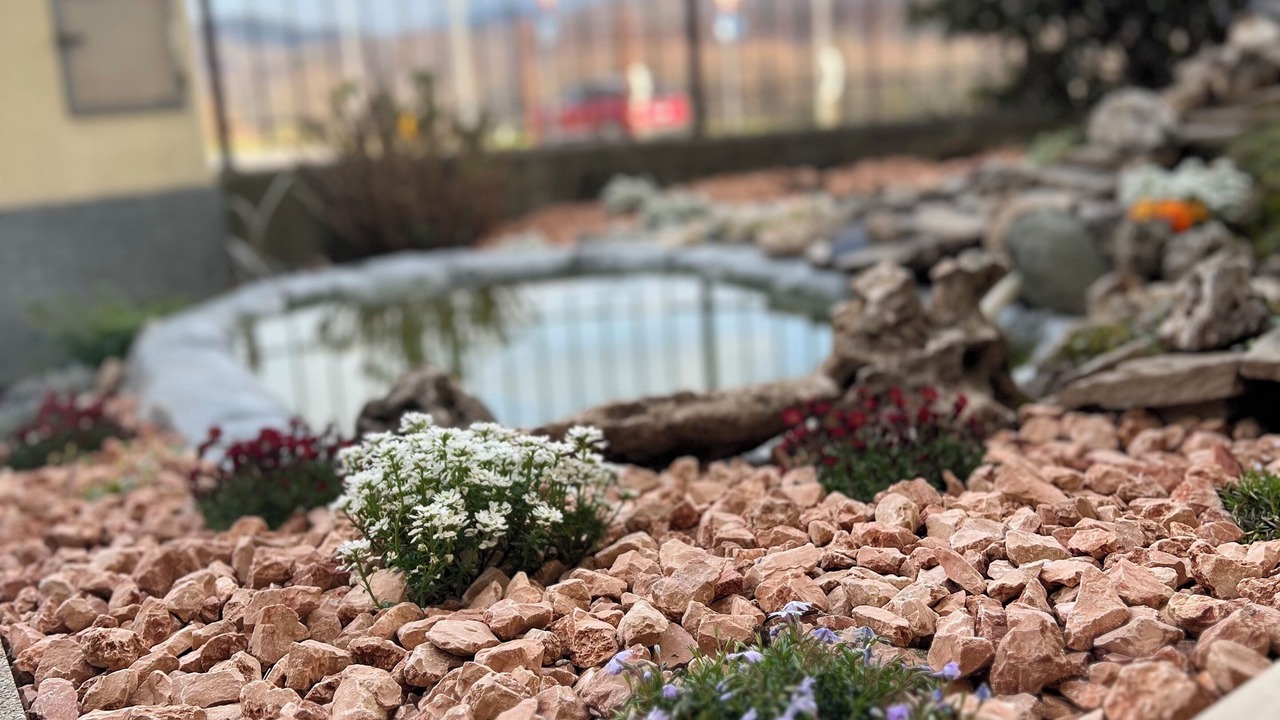 Photo of Outdoor in Borgo San Dalmazzo