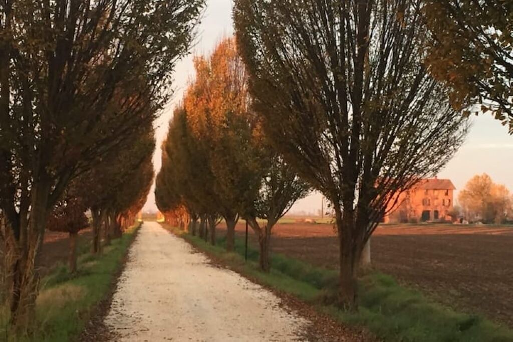 Photo of Outdoor in Sant'Agata Bolognese