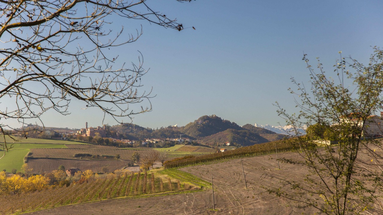 Photo of Others in Sala Monferrato