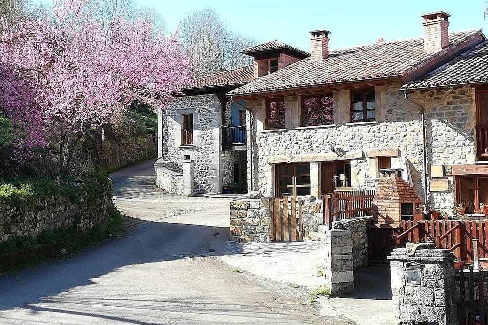 Photo of Outdoor in Bobia de Abajo