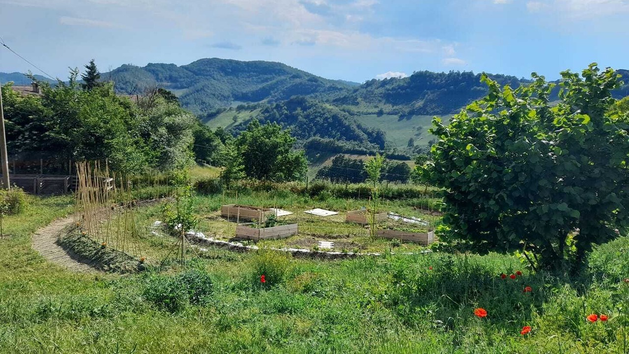 Photo of Outdoor in Nerbisci