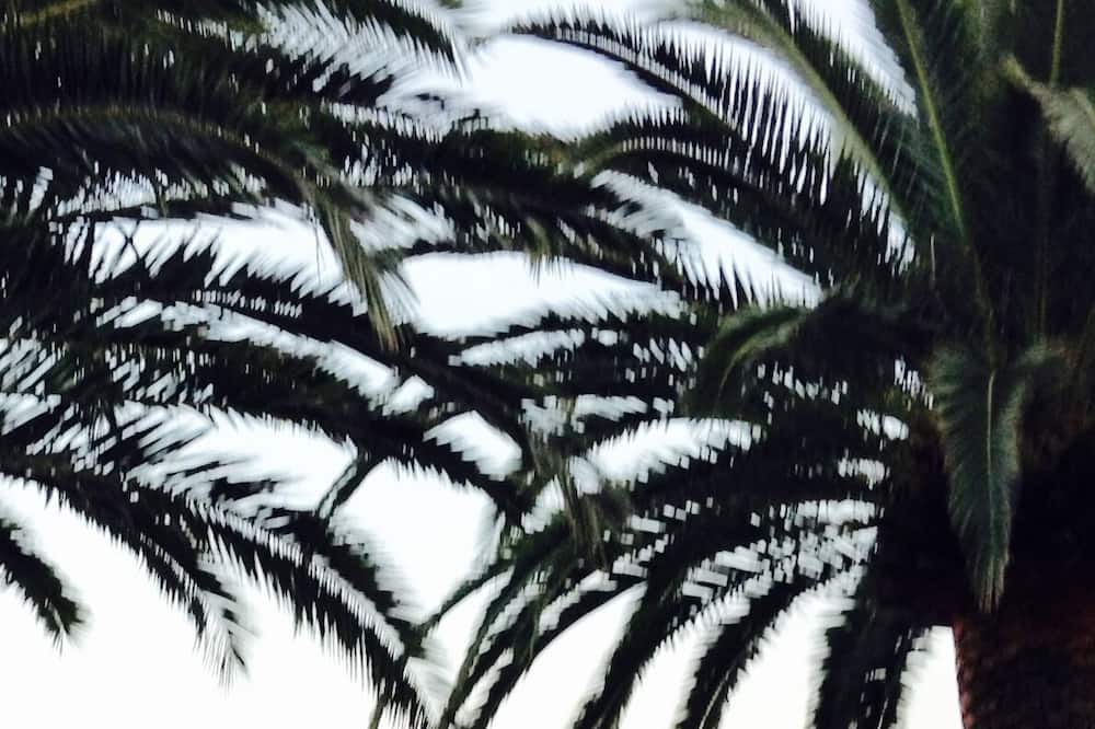 Photo of Outdoor in Boissano