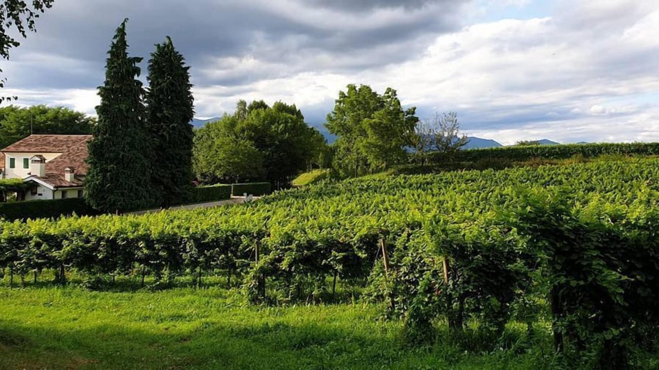 Photo of Outdoor in Giavera del Montello