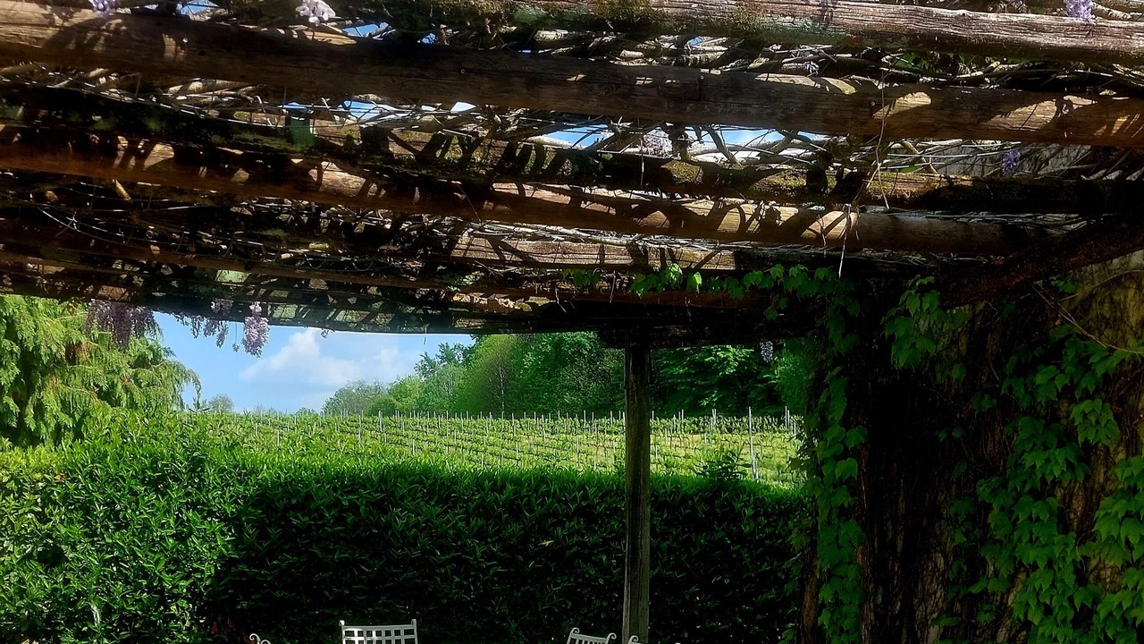 Photo of Outdoor in Giavera del Montello