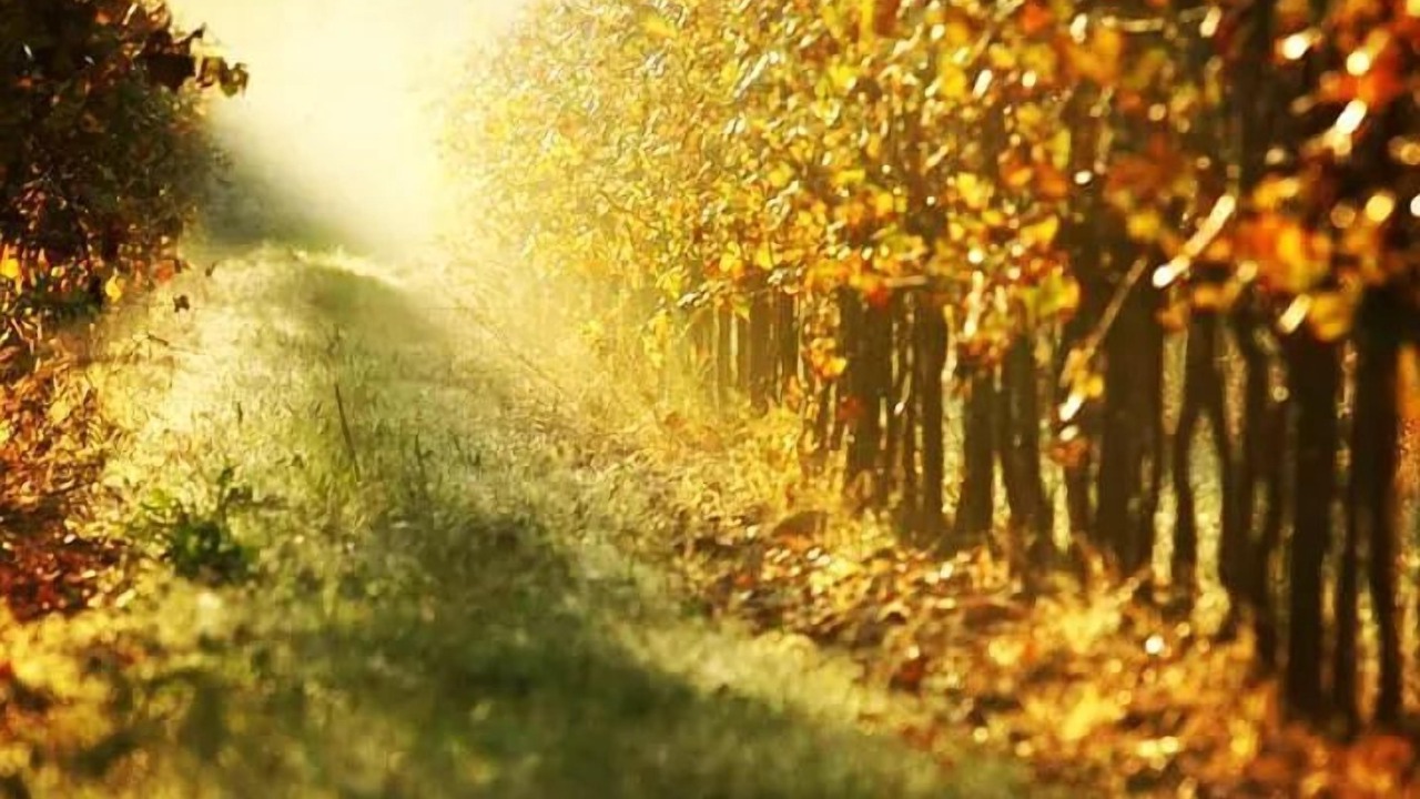 Photo of Outdoor in Giavera del Montello