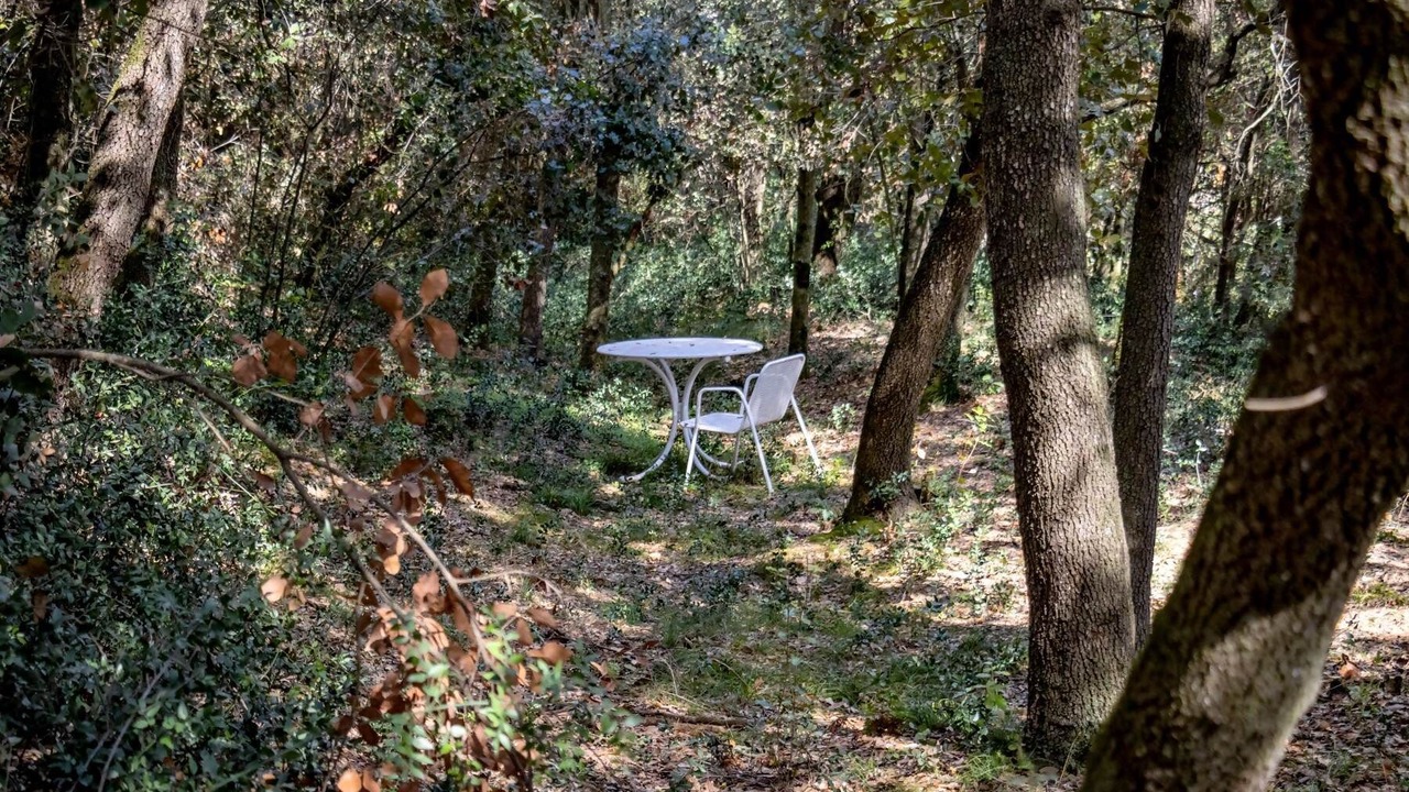 Photo of Outdoor in Pedrinya