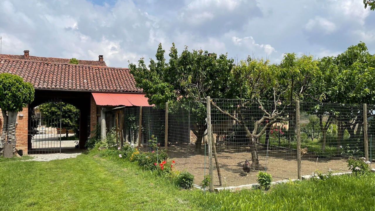 Photo of Outdoor in San Desiderio