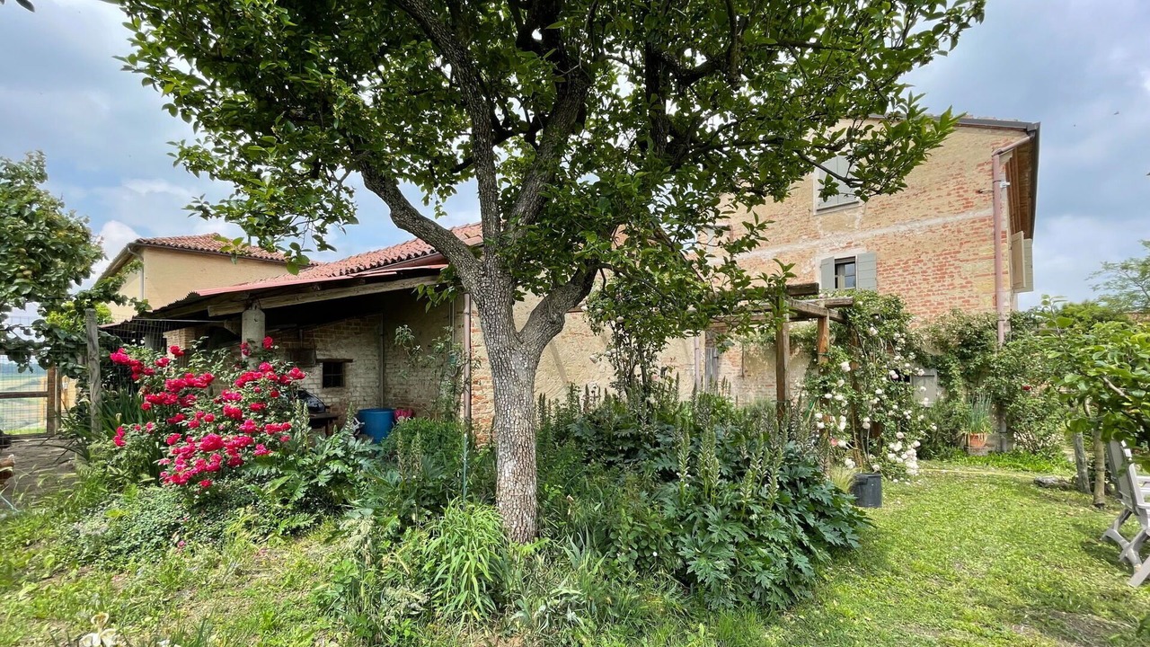 Photo of Outdoor in San Desiderio
