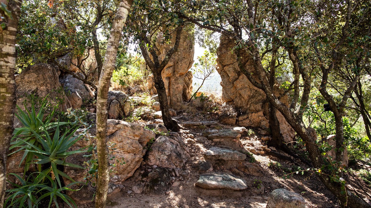 Photo of Outdoor in San Pantaleo