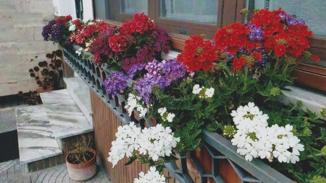 Photo of Outdoor in Velletri