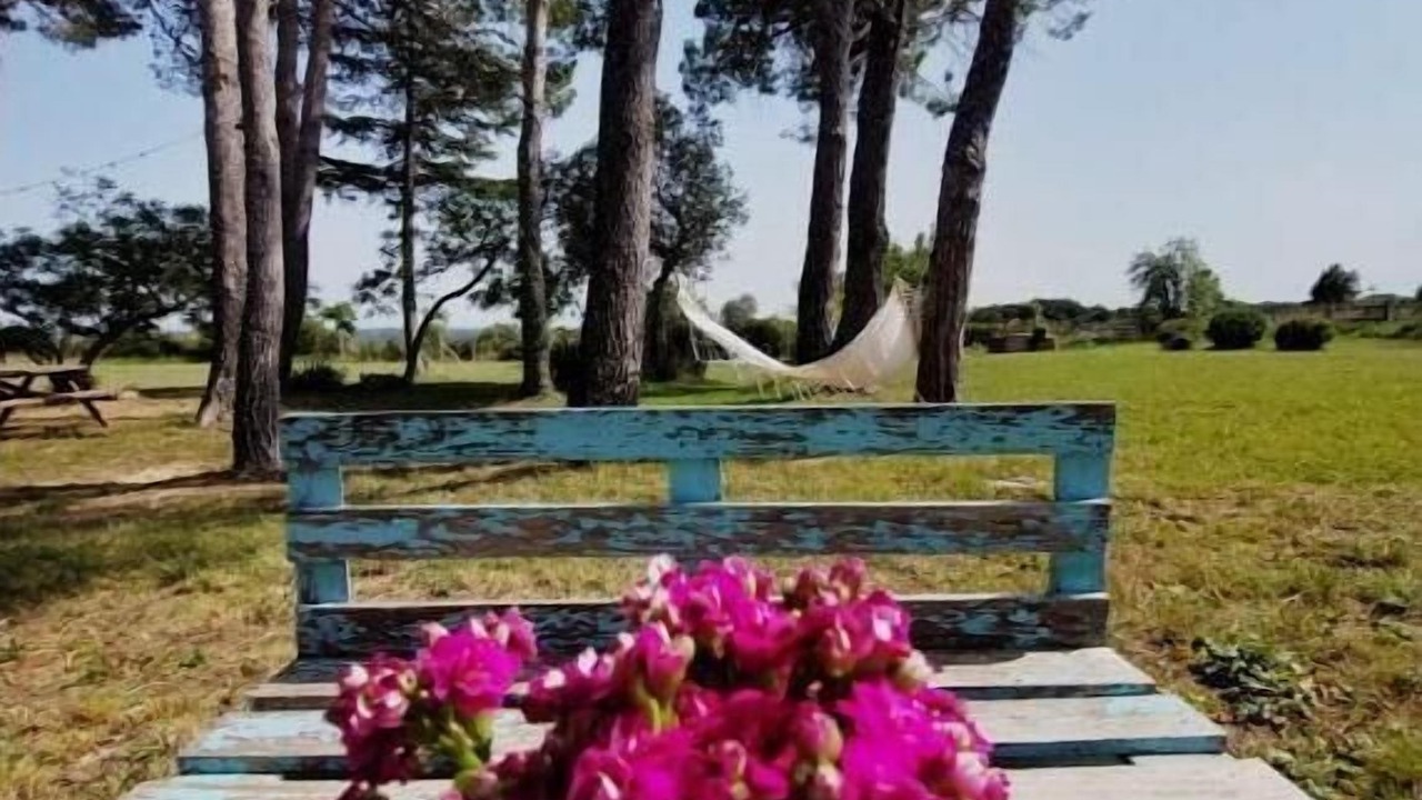Photo of Outdoor in Terrades