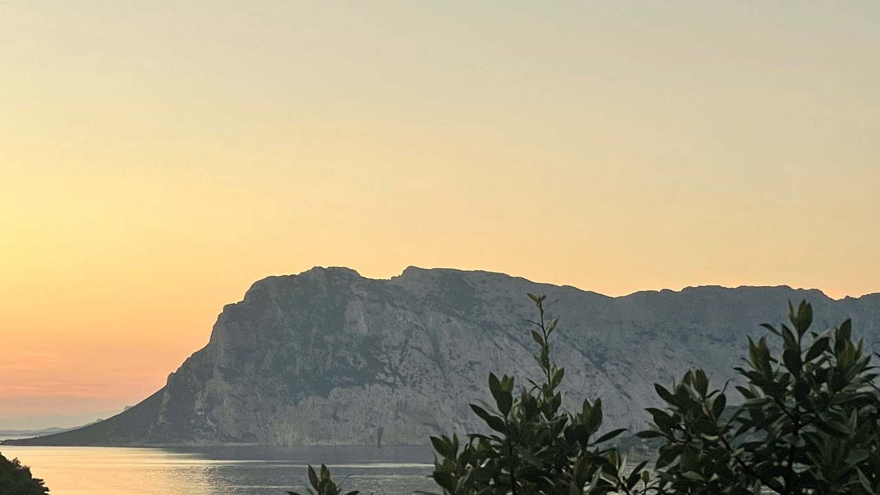Photo of Others in Capo Coda Cavallo