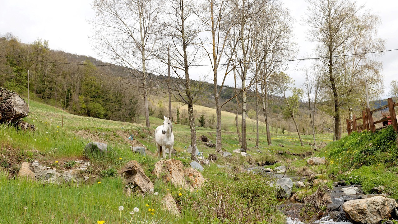 Photo of Outdoor in Llanars