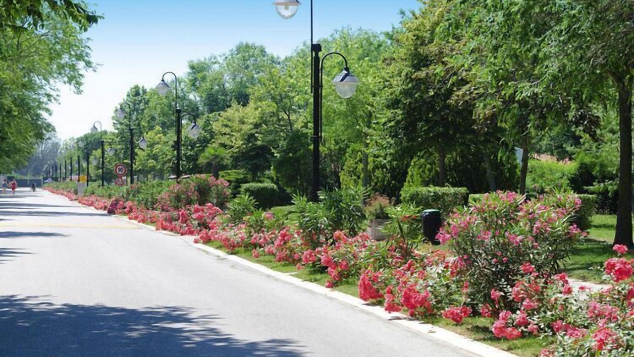 Photo of Outdoor in Duna Verde