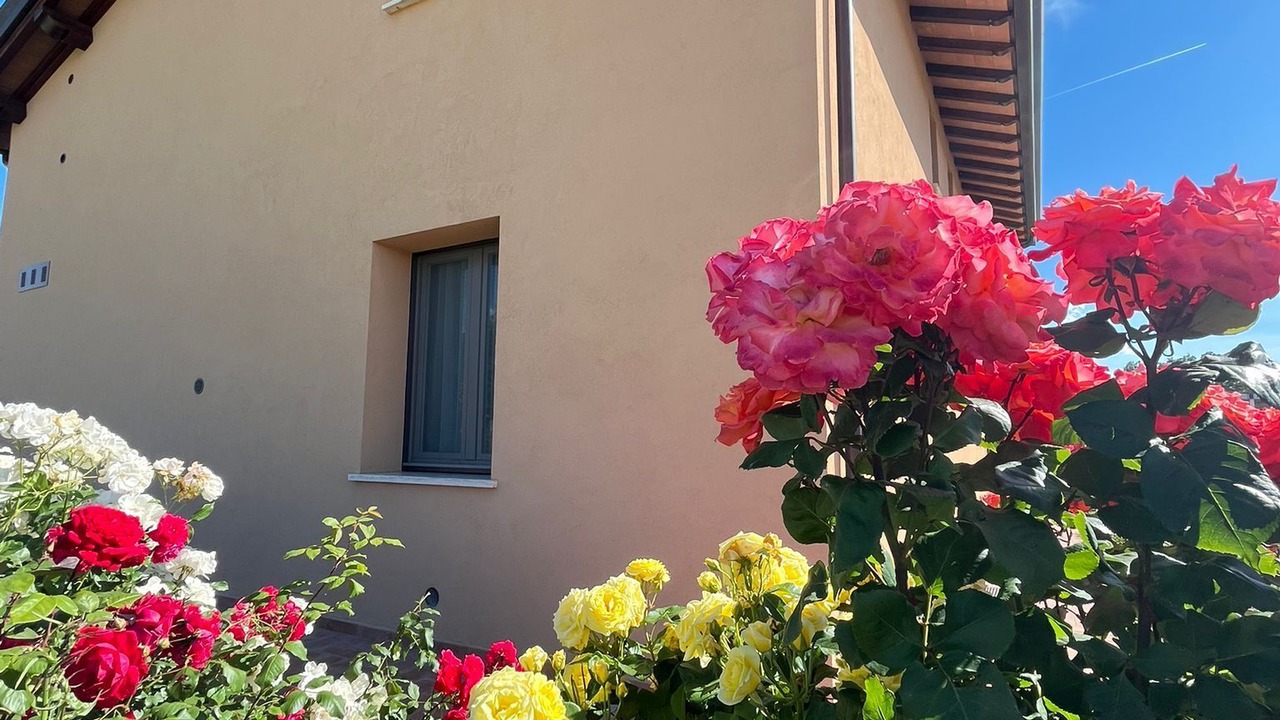 Photo of Outdoor in Assisi