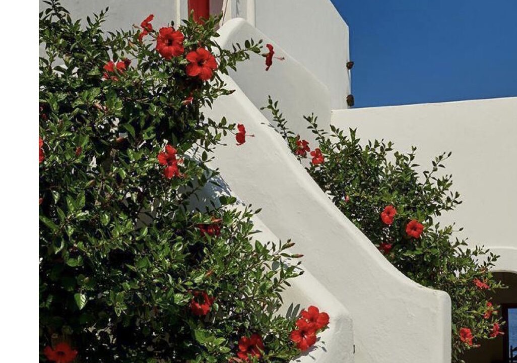 Photo of Outdoor in Piscita