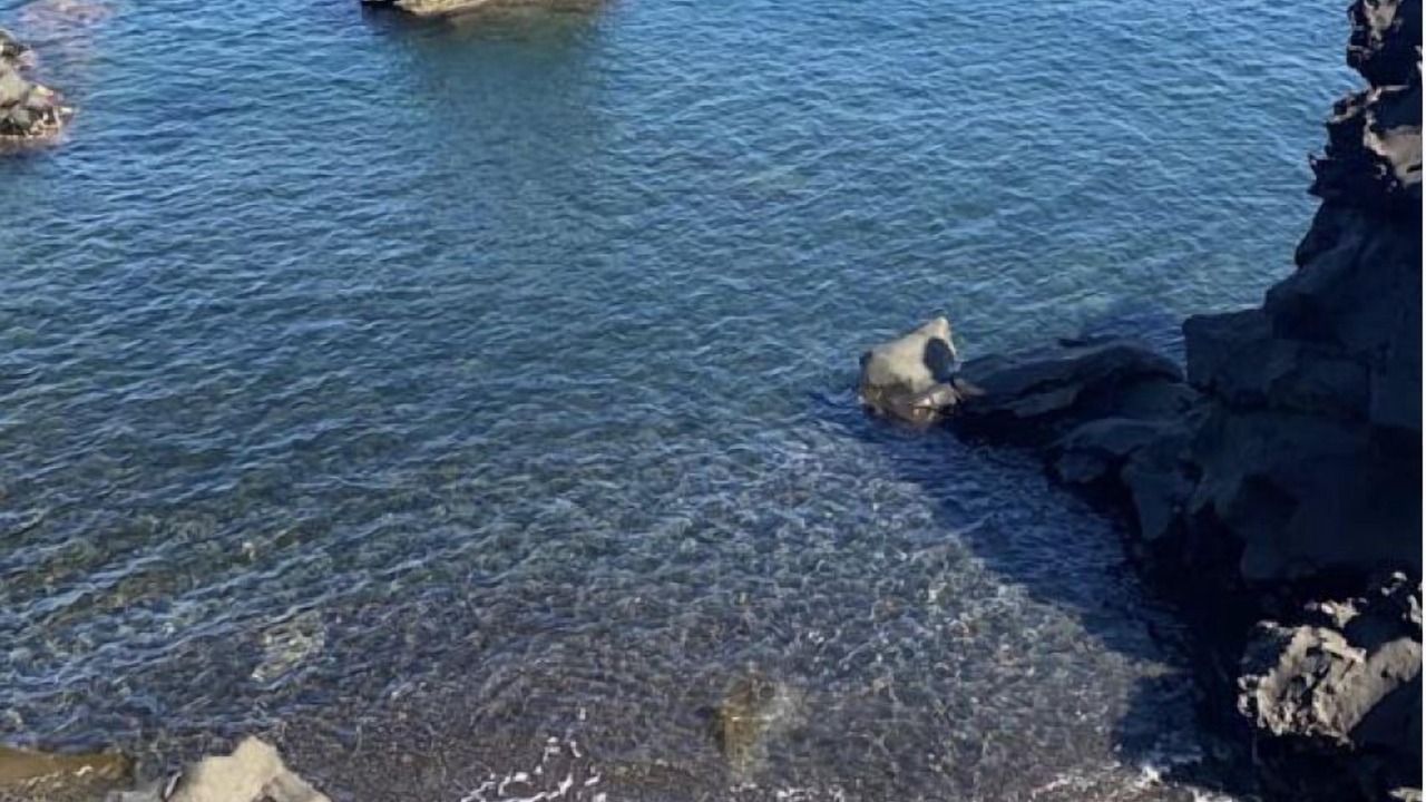 Photo of Others in Piscita